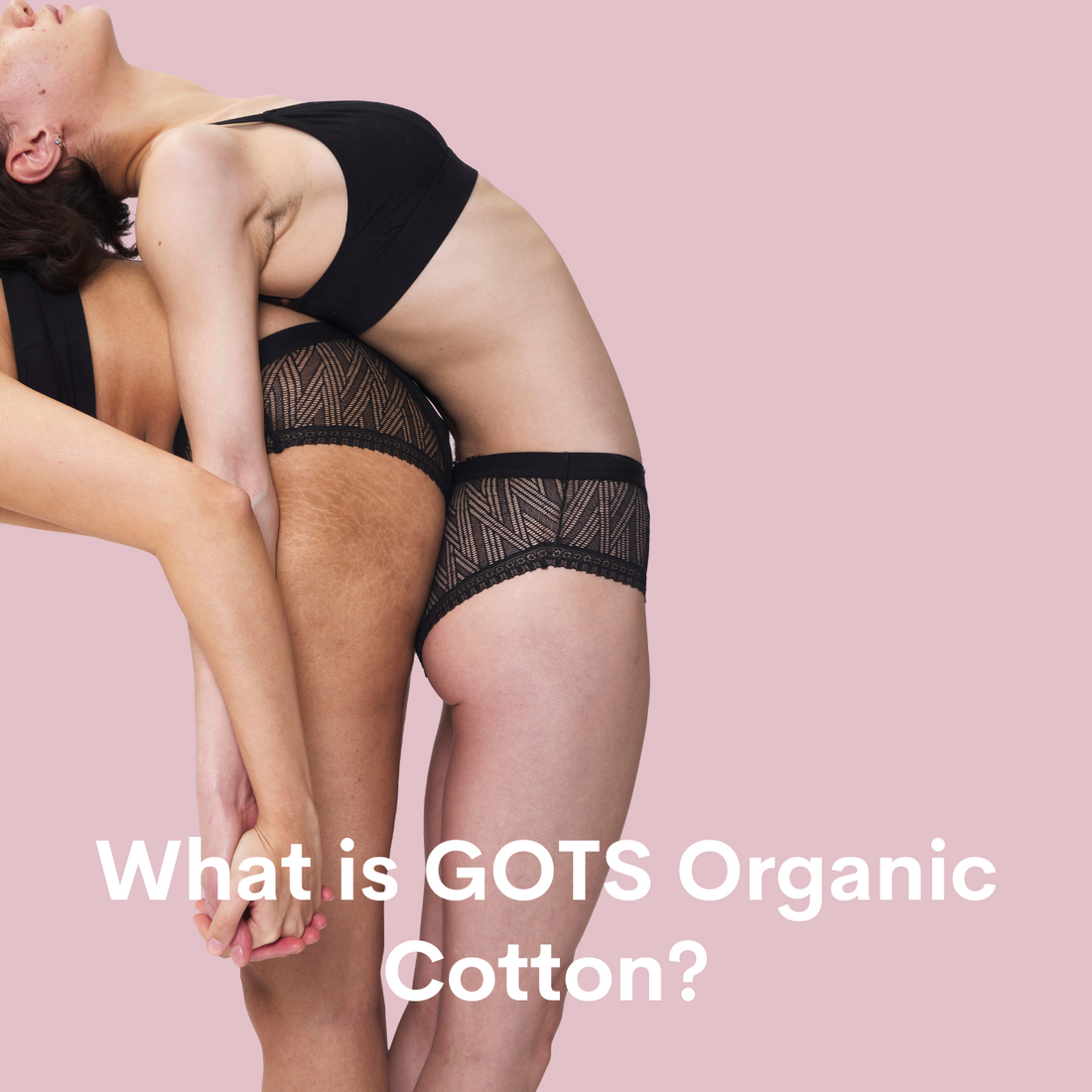 What is GOTS cotton?
